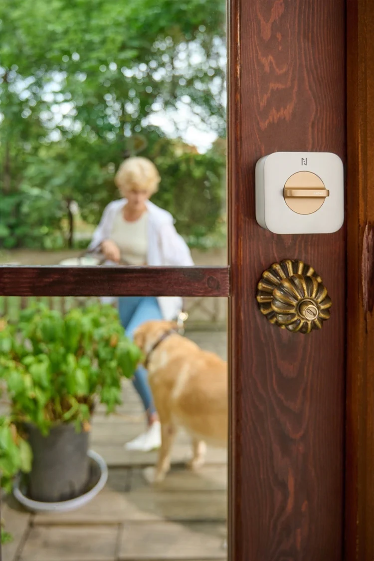 dog building standing small looking table front holding sitting man wooden woman door brown mirror people cat sign phone window