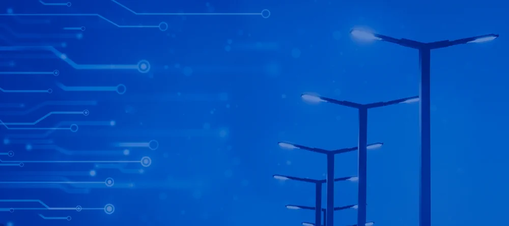 Professional-lighting_Landing_pages.jpg sitting laptop table large bird plane light flock lot flying airplane group traffic water computer